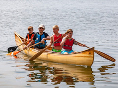 Pagaj John Paddle Beavertail Ogon Bobra + pokrowiec (2 pagaje + 1 pokrowiec)